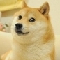 dogezafi