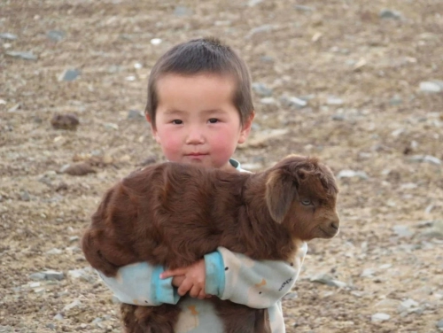 tom-schuller-mongolia-rural-scaled.webp