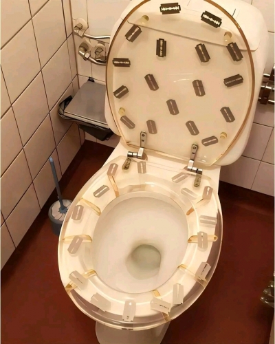 1722383382685.jpg