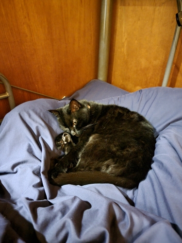 20231020_192403.jpg