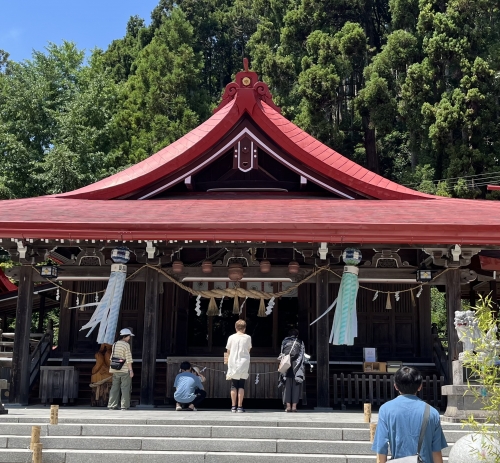 IMG_1053.jpeg