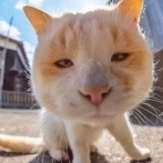 dbrumble