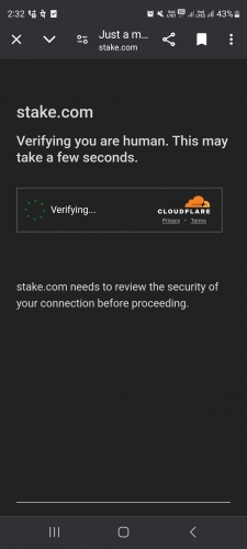 Screenshot_20240810_143206_Chrome.jpg