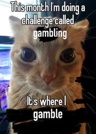 image.png.5959d15a4484d994810da4f6ab0f3e82.png