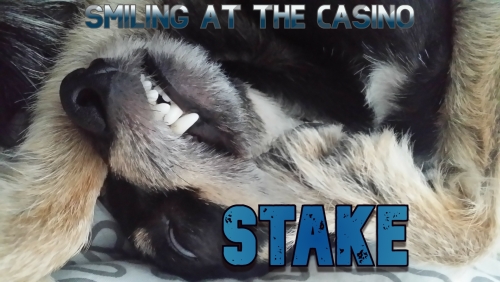 stake1.jpg