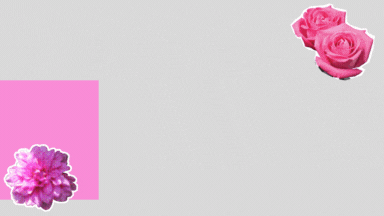1125350758_pinkstakeforum.gif.d0c15da683c6bd0f46dc1a44db46f080.gif