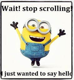 839123306_HelloMinion.png.db29062d6d8e84b6dcb689a45f43eec6.png
