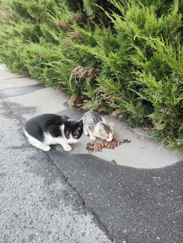 IMG_20240921_151758.jpg