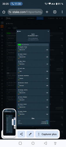 Screenshot_20240915-202540.png