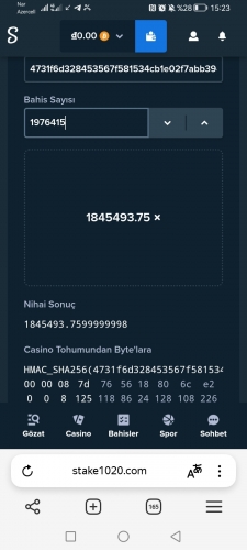 Screenshot_20240927_152347_com.yandex.browser.jpg
