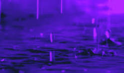 image.png.5b39af74f63680d57cdb7a60c84f0fbb.png
