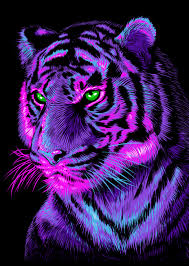 image.png.72cdf24bc1c85c4a366c34b8d800465a.png