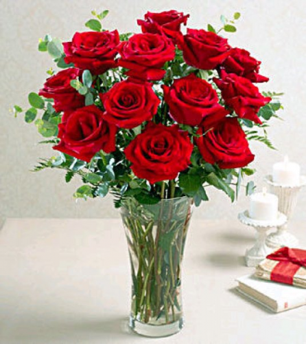image.thumb.png.769cd97073d99607f60b0eb5502a45a7.png