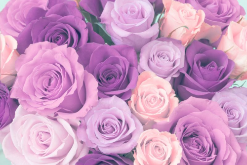 image.thumb.png.9de15f91c39c18eab9c617c0463a40ac.png