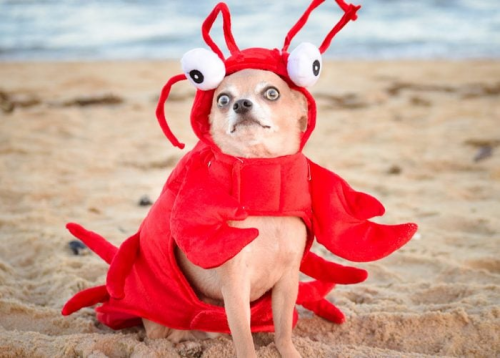image.thumb.png.a902164b1794d877af63749f4c3af045.png