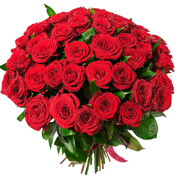 image_863006180812547751095.gif
