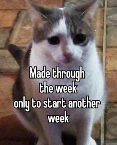 GKnF8h4bUAEH-6g.jpeg