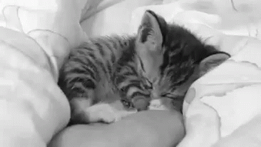 b203427f5041a1dbc1a61bdeed3ca909.gif.df611478c536f6b65edb0b1a04b8353f.gif