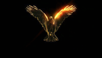 deadeagle33.gif.ed75ccc8046e26fa634f93b1bf1c468d.gif