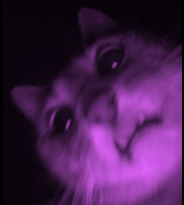 image.png.111f496313f75abc3d93ec49ee5bfe03.png