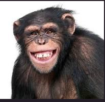 image.png.7e49a1eb980ffa2fc7d4bd1dda87a644.png