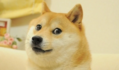 image.thumb.png.1d0d52a12d379e1a81e06d5bbab7d4a3.png