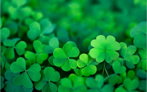 shutterstock_1299547732-2.thumb.jpg.04ec1d98a50e9c9875cabe0c8cf2bdba.jpg