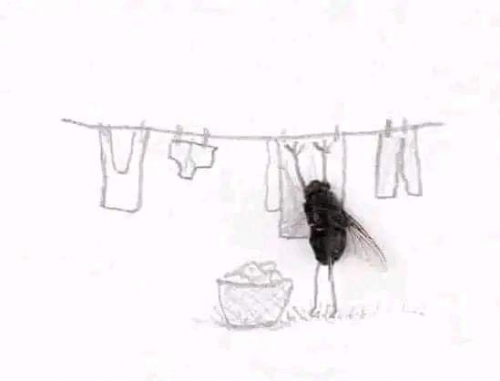 FB_IMG_1729506181340.jpg