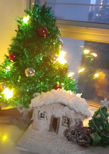 IMG_20241120_195108_298.jpg