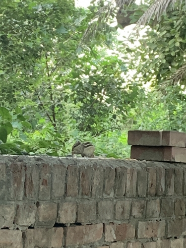 IMG_4999.jpeg