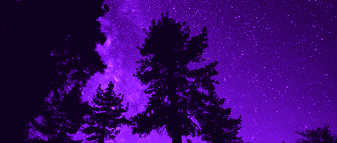 Pisum.gif.a79962117a1b0583366e47a1f3045bce.gif