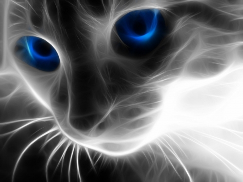 blue-eyes-cat-fractalius-wallpaper-8fb1d0dc4b3f91af22063e986ab38367.thumb.jpg.9a2b04cb889abc4c9789b1a74fc911e1.jpg