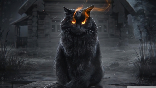 happy_halloween___magic_black_cat-wallpaper-1920x1080.jpg