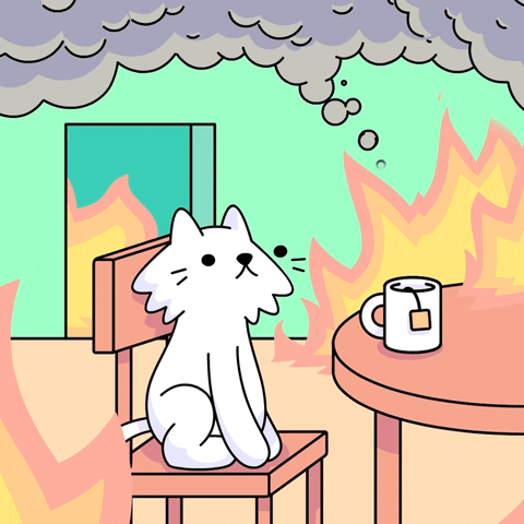 image.gif.d5b81bbf91a2fd212522ad5333fd6dff.gif