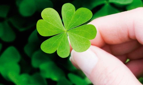 lucky-195357902.jpg