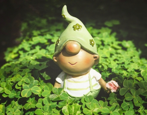 trefles-et-nain-de-jardin-(photo-ldd-pixabay)-1732027949.jpg