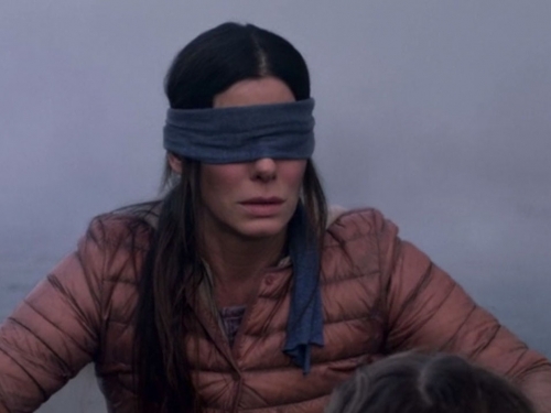 00-promo-bird-box.jpg