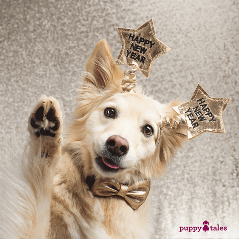 1613609841_puppynewyear.gif.12b67682d29c1ae7562f489bd1c5d95f.gif