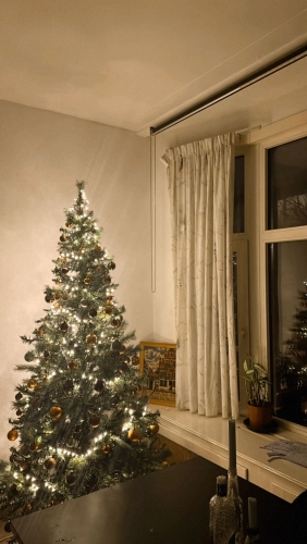 IMG-20241209-WA0008.thumb.jpg.2ef93130f4d8d9ba2032e0aff299d10f.jpg