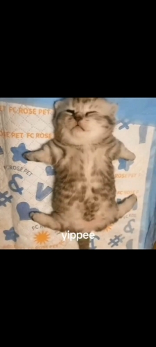 Screenshot_2024-12-20-01-44-54-898_com.twitter.android.jpg