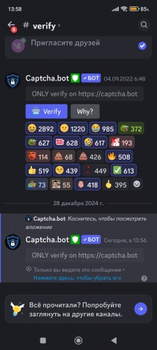 Screenshot_2024-12-28-13-58-48-992_com.discord.jpg