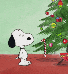 Z0O0.gif.882d2a9d3db105e2a848d3f73f4e8436.gif