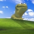 Kimou50