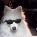 Blade