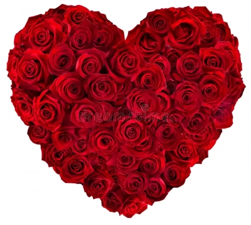 HEART.thumb.webp.0d3e04b0951e4abe06f9e772101da6f9.webp
