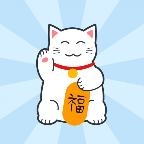 catt.jpg