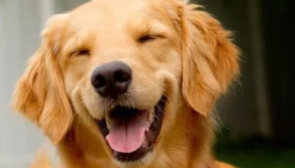 image.png.0367d3ce3256d3ffbddf498ce4d414be.png