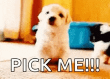 image.png.8e66d46fb61338926792c594751537e6.png