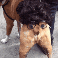 200w.gif.2bb9c4d10719a3347bb0fef985a8edf9.gif