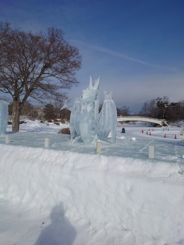 DSC_1171.JPG